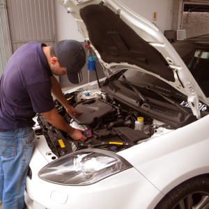 Joinville Vistoria - 03